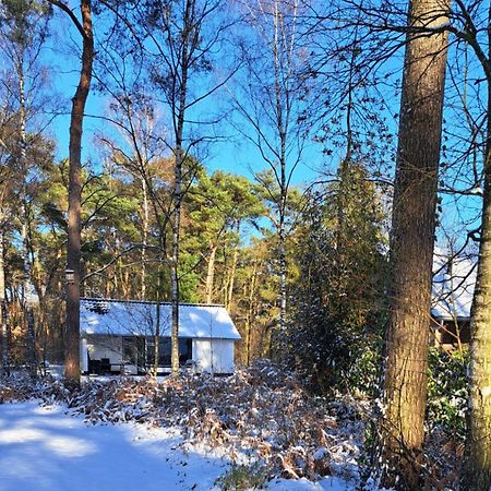 Bungalow, Vrijstaand, Het Vosseven Nr 38 Stramproy Экстерьер фото